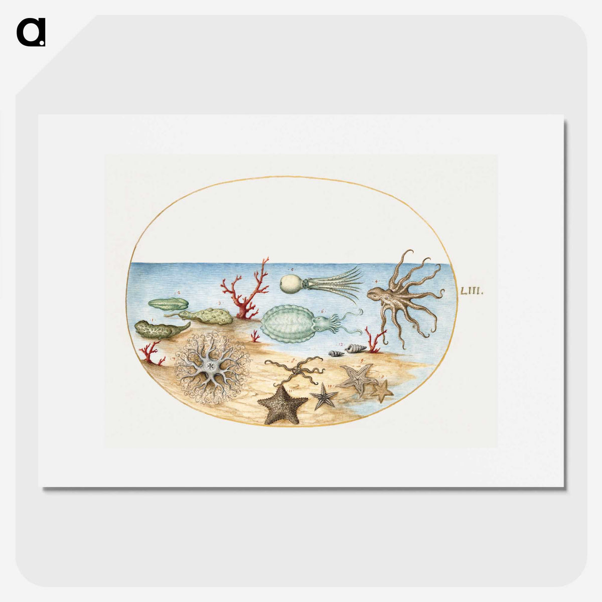 1-5_Joris-Hoefnagel_picture