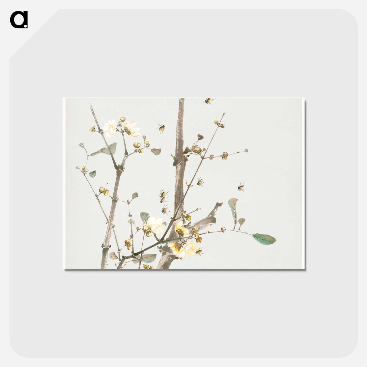 Insects and Flowers
- ジュ リアン Postcard.