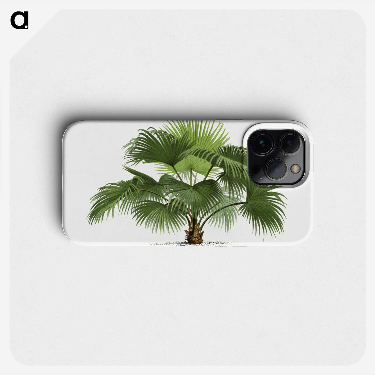 1-5_Les-Palmiers-Histoire-Iconographique_phone