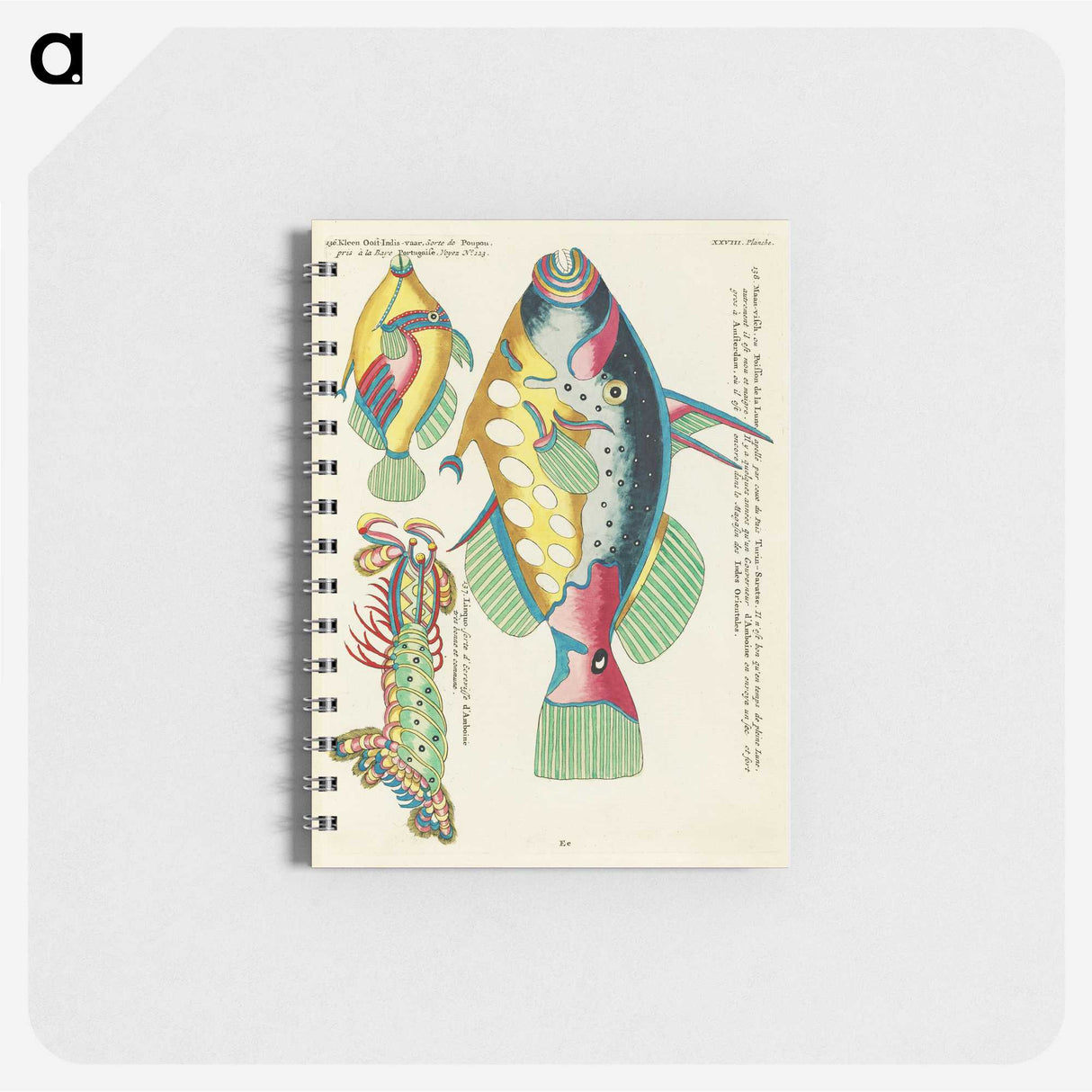 1-5_Louis-Renard_memo