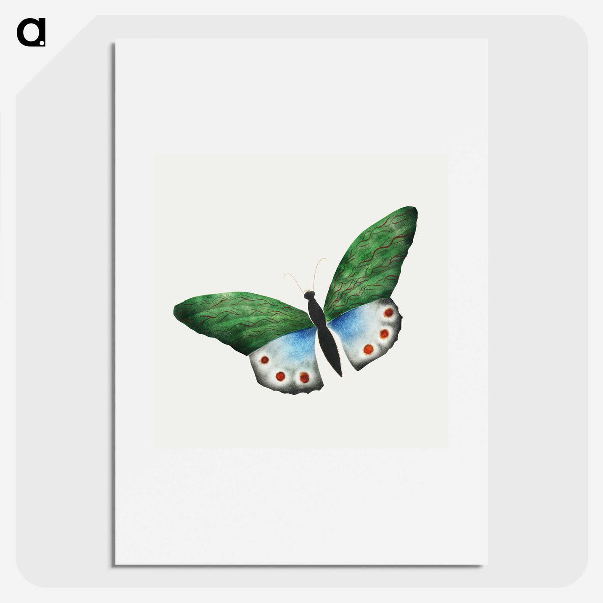 1-5_Mary-Altha-Nims_picture
