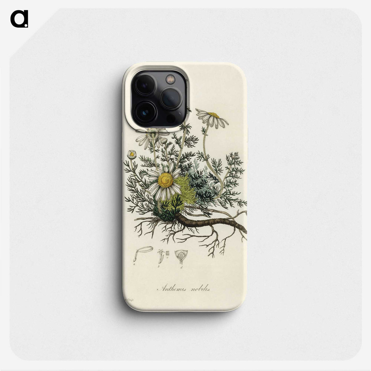 1-5_Medical-Botany_phone