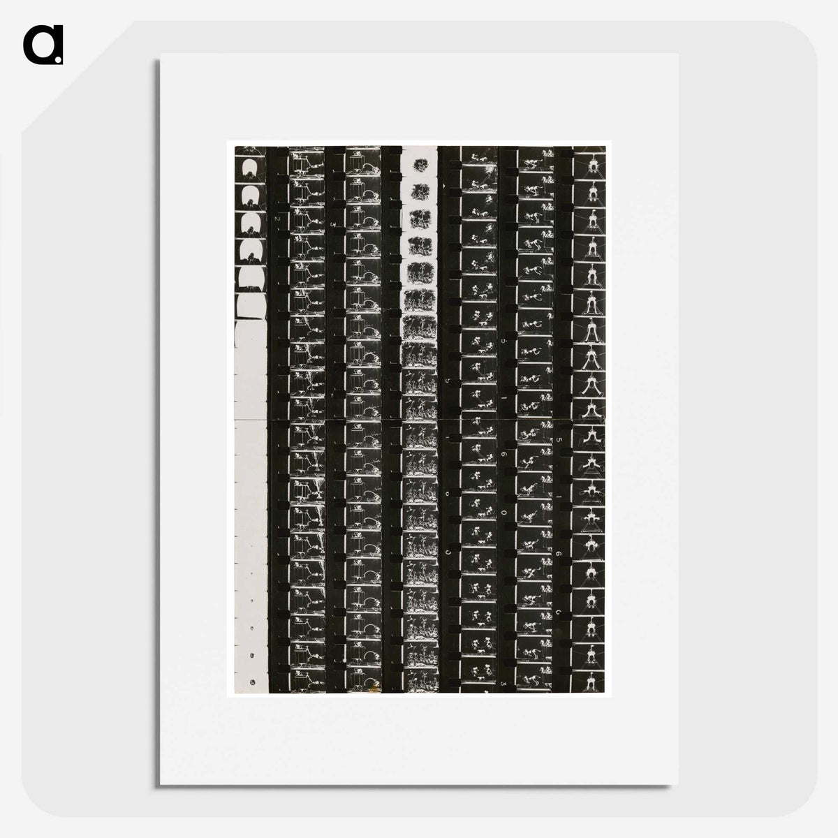 1-5_Milos-Dohnany_picture