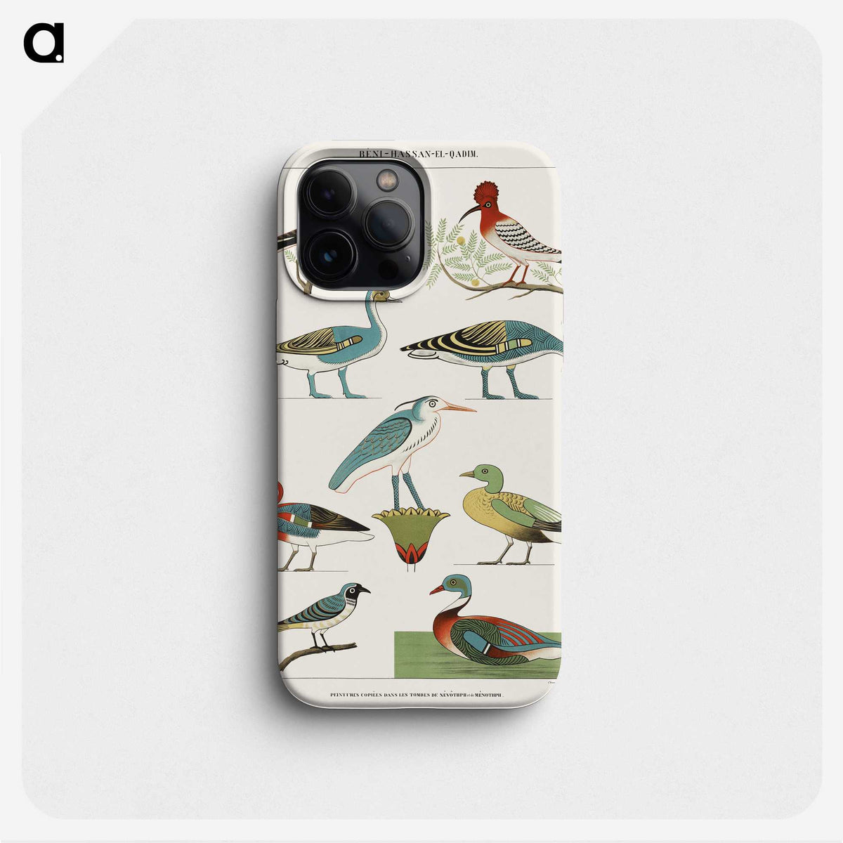 1-5_Monuments-of-Egypt-and-Nubia_phone