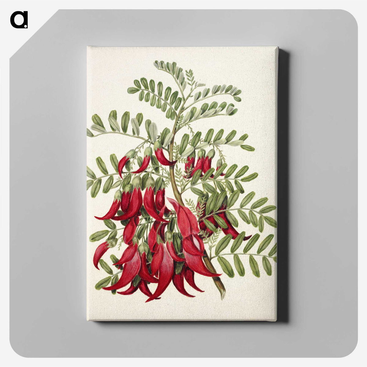 1-5_Native-Flowering-Plants-of-New-Zealand_canvas