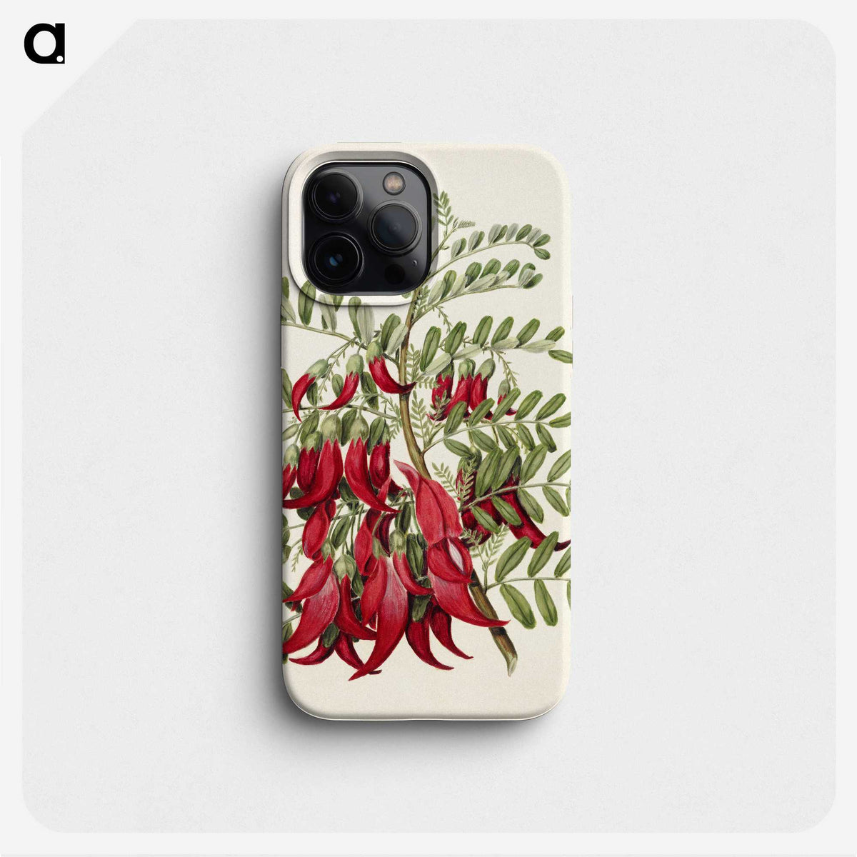 1-5_Native-Flowering-Plants-of-New-Zealand_phone