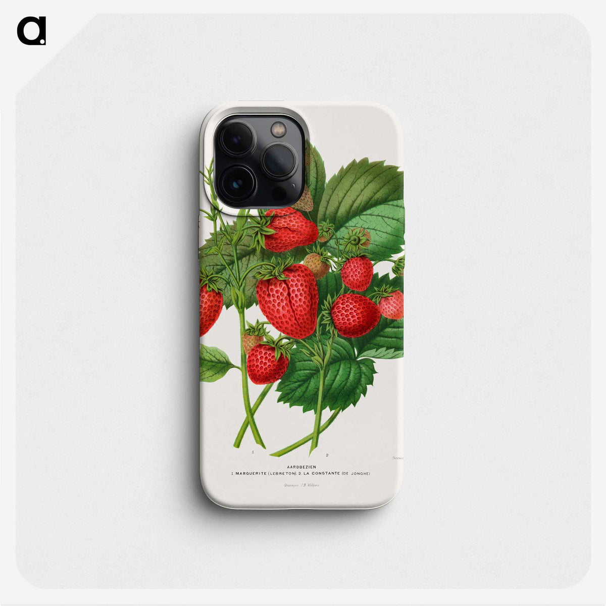 1-5_Nederlandsche-Flora-en-Pomona_phone