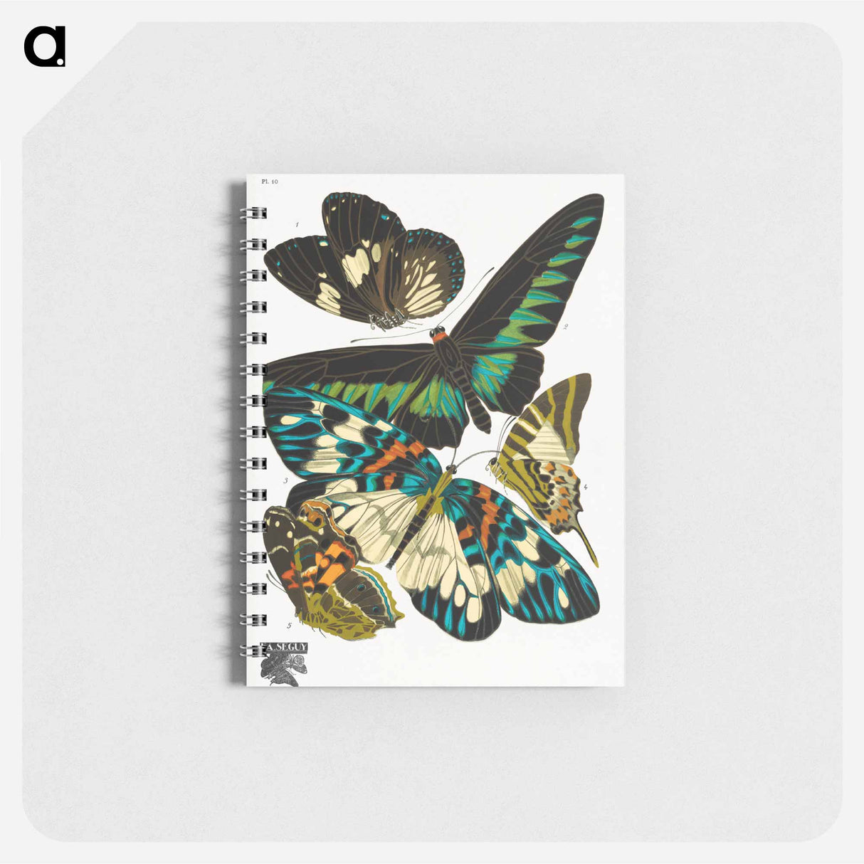 アートメモ帳-Vintage Butterflies
- パピヨン Memo.