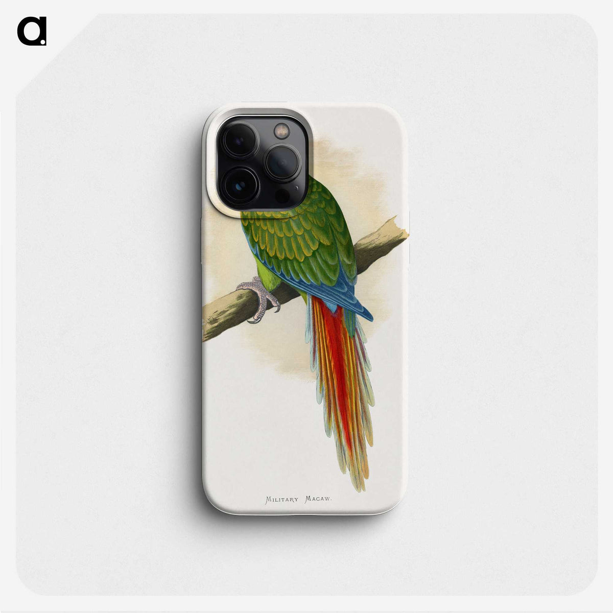 1-5_Parrots-in-Captivity_phone