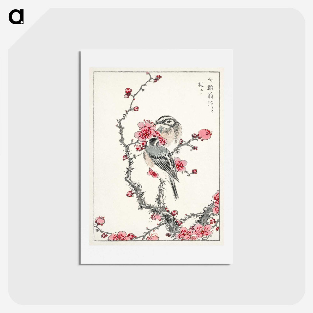 1-5_Pictorial-Monograph-of-Birds_hagaki