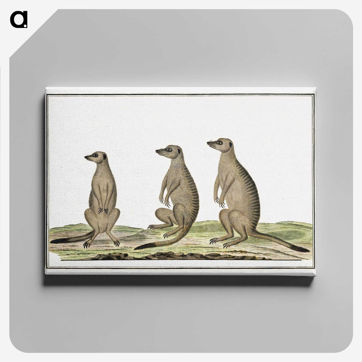 1-5_Robert-Jacob-Gordon_canvas