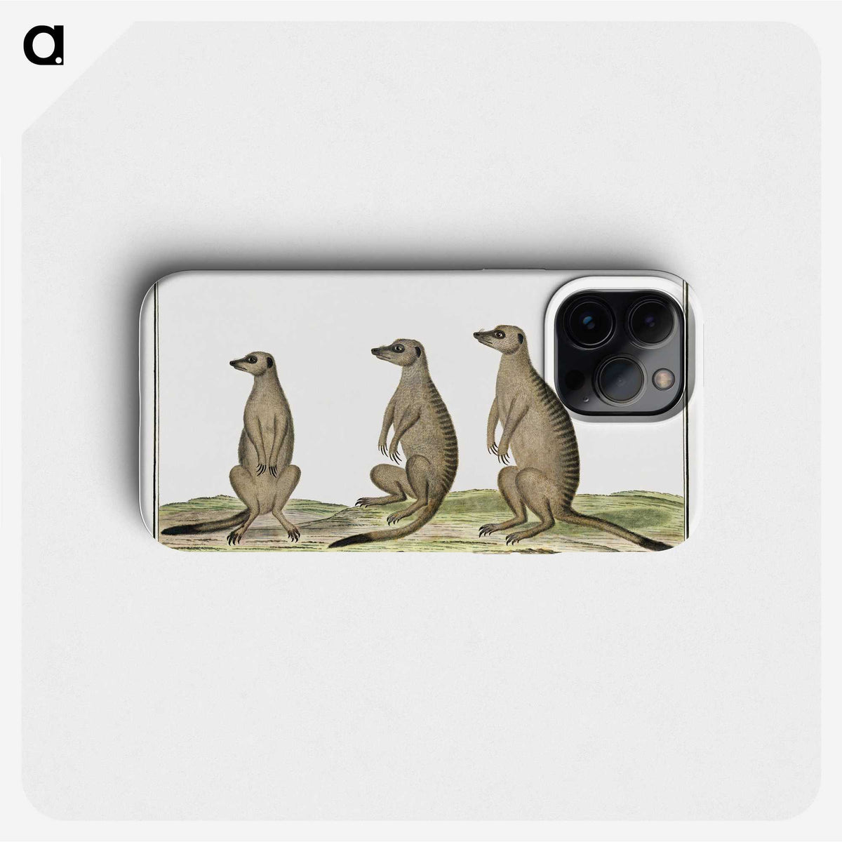 1-5_Robert-Jacob-Gordon_phone