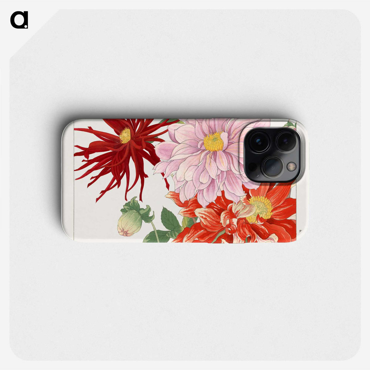 1-5_Seiyo-Soka-Zufu_phone