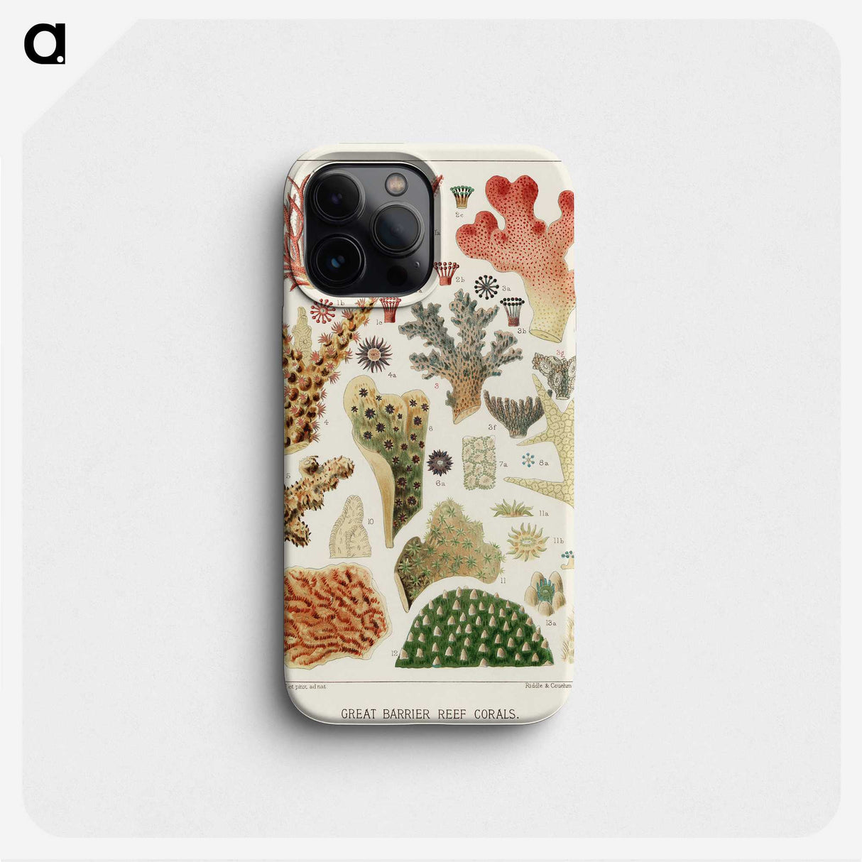 1-5_The-Great-Barrier-Reef-of-Australia_phone