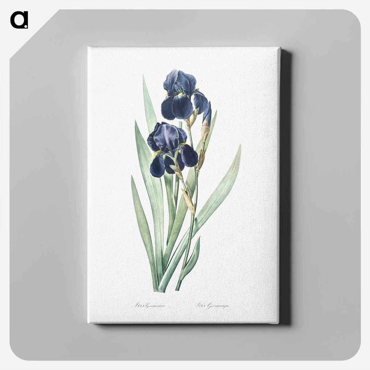 1-5_The-Lilies_canvas