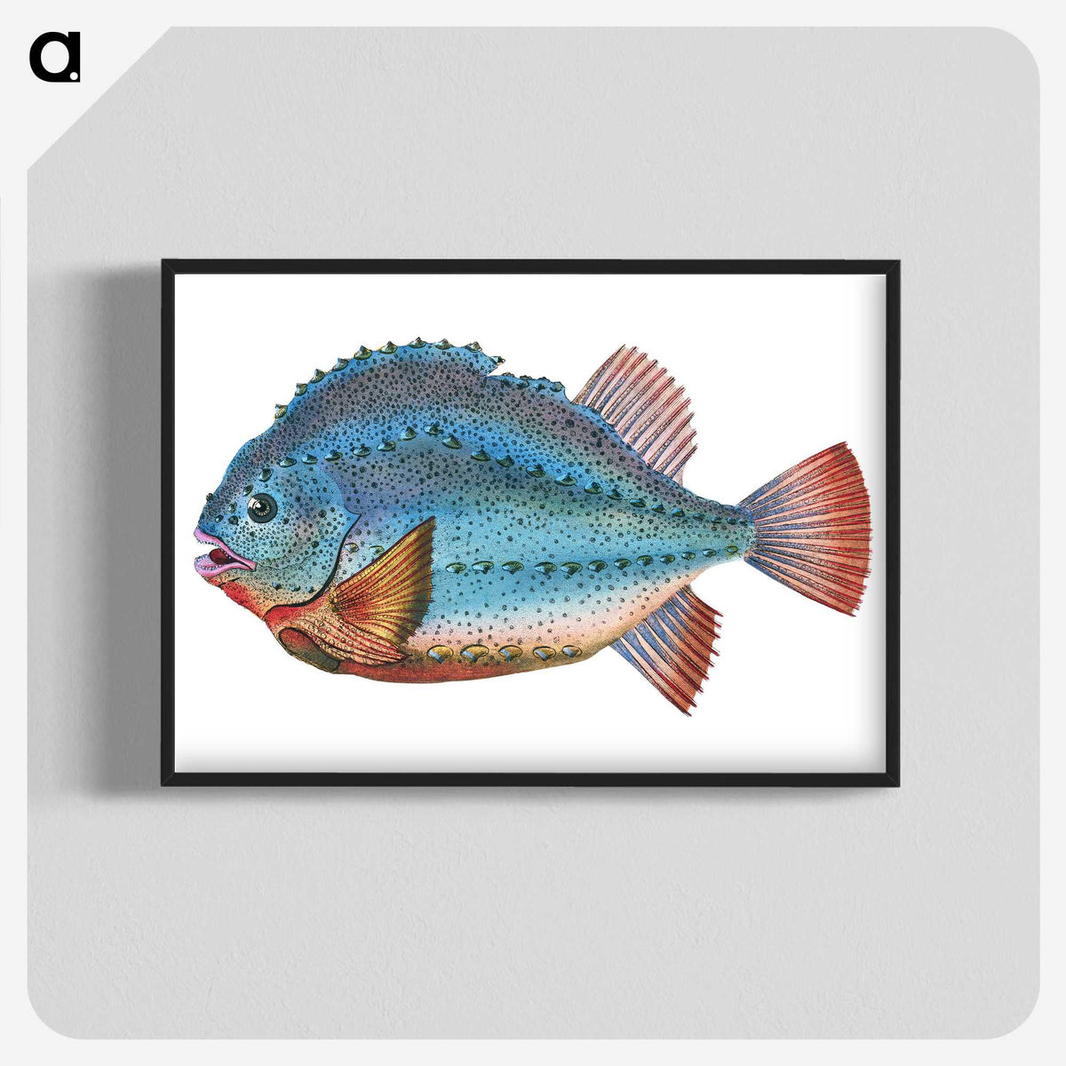 1-5_The-Natural-History-of-British-Fishes_blk-crop