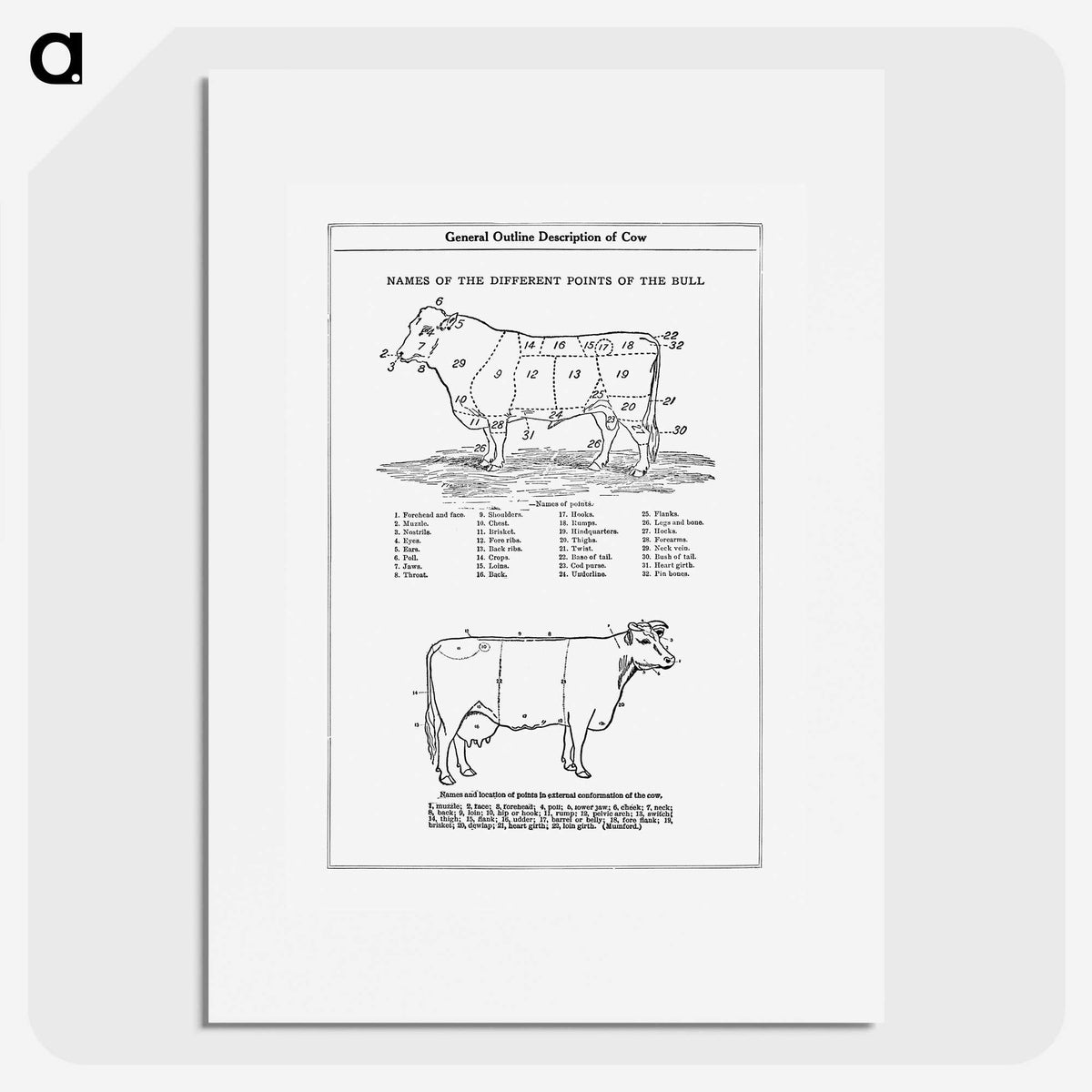 1-5_The-Open-Door-to-Independence_picture