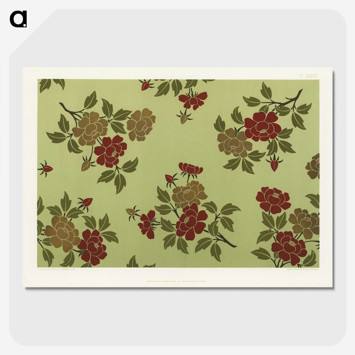 1-5_The-Practical-Decorator-and-Ornamentist_picture-crop
