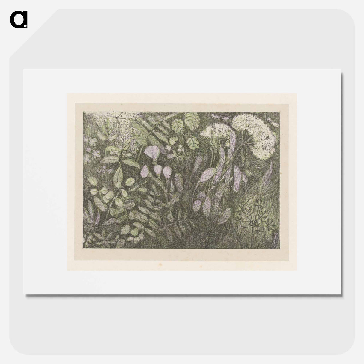 Bloemen en planten - Theo van Hoytema Poster.