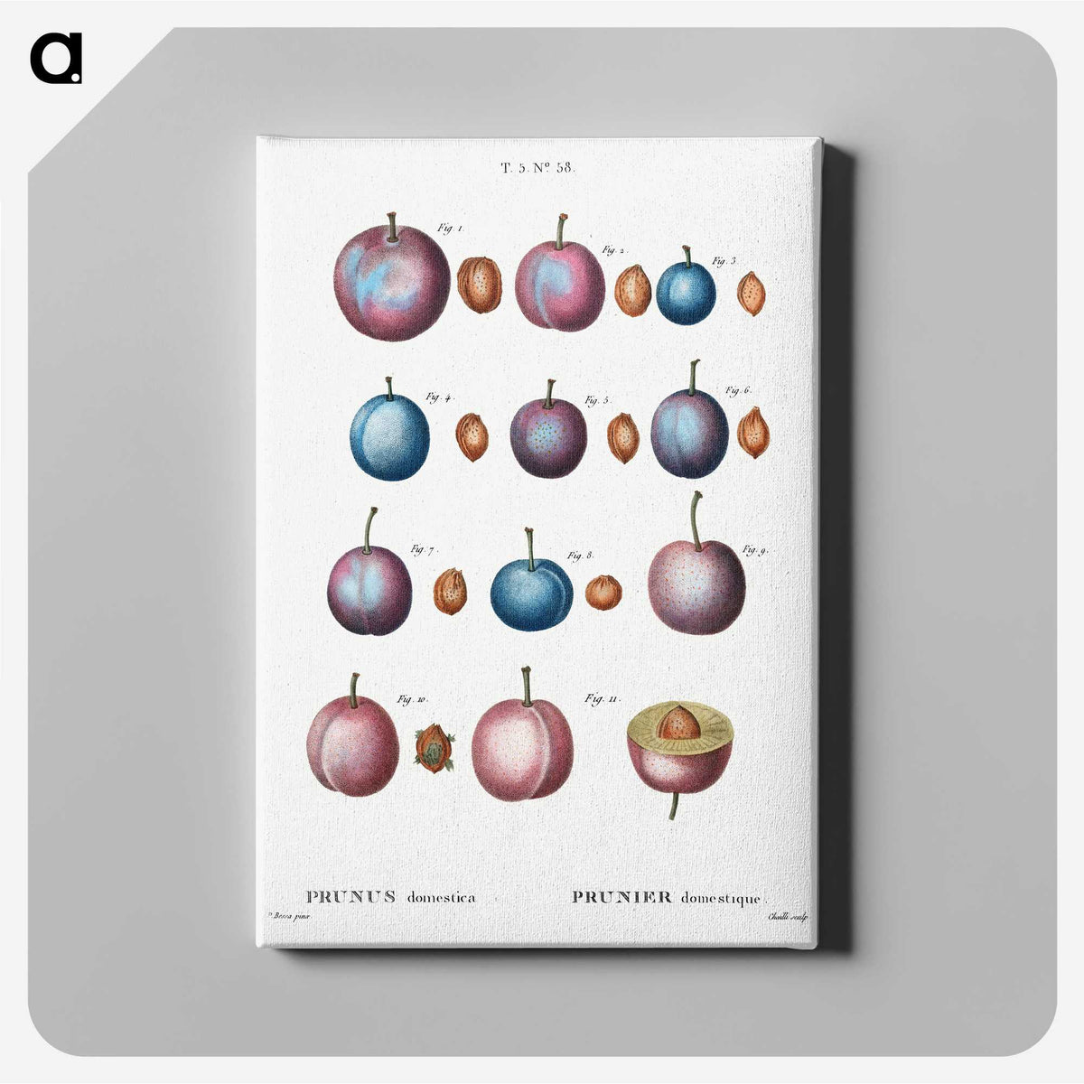 1-5_Treatise-on-Trees-and-Shrubs_canvas