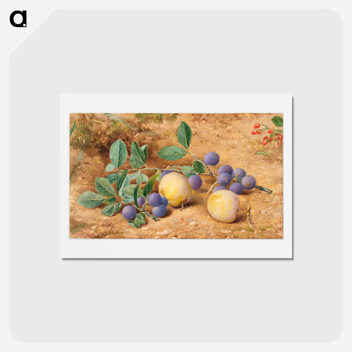 アートポストカード-Plums - ウィリアム ヘンリー ハント Postcard.