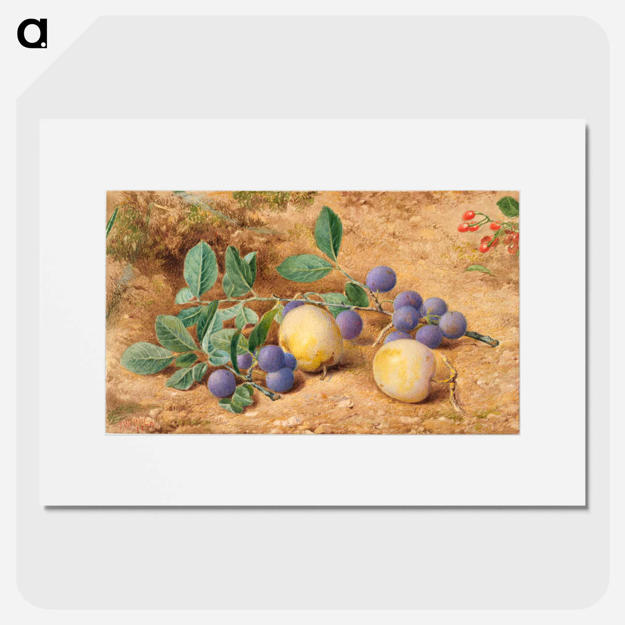 Plums - ウィリアム ヘンリー ハント Poster.