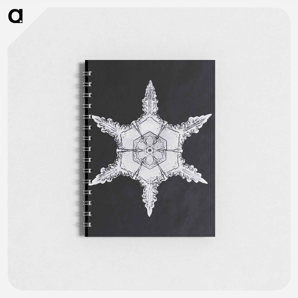Wilson Bentley's Snowflake 342 - ウィルソン ベントレー Memo.