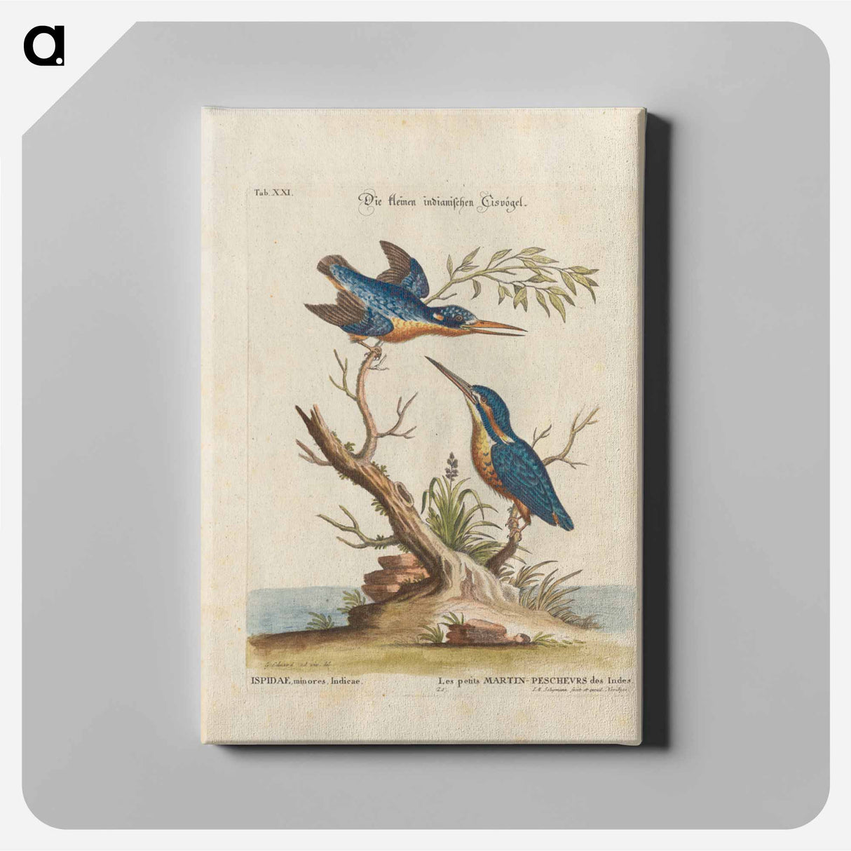 Birds illustration - イー ララ Canvas.