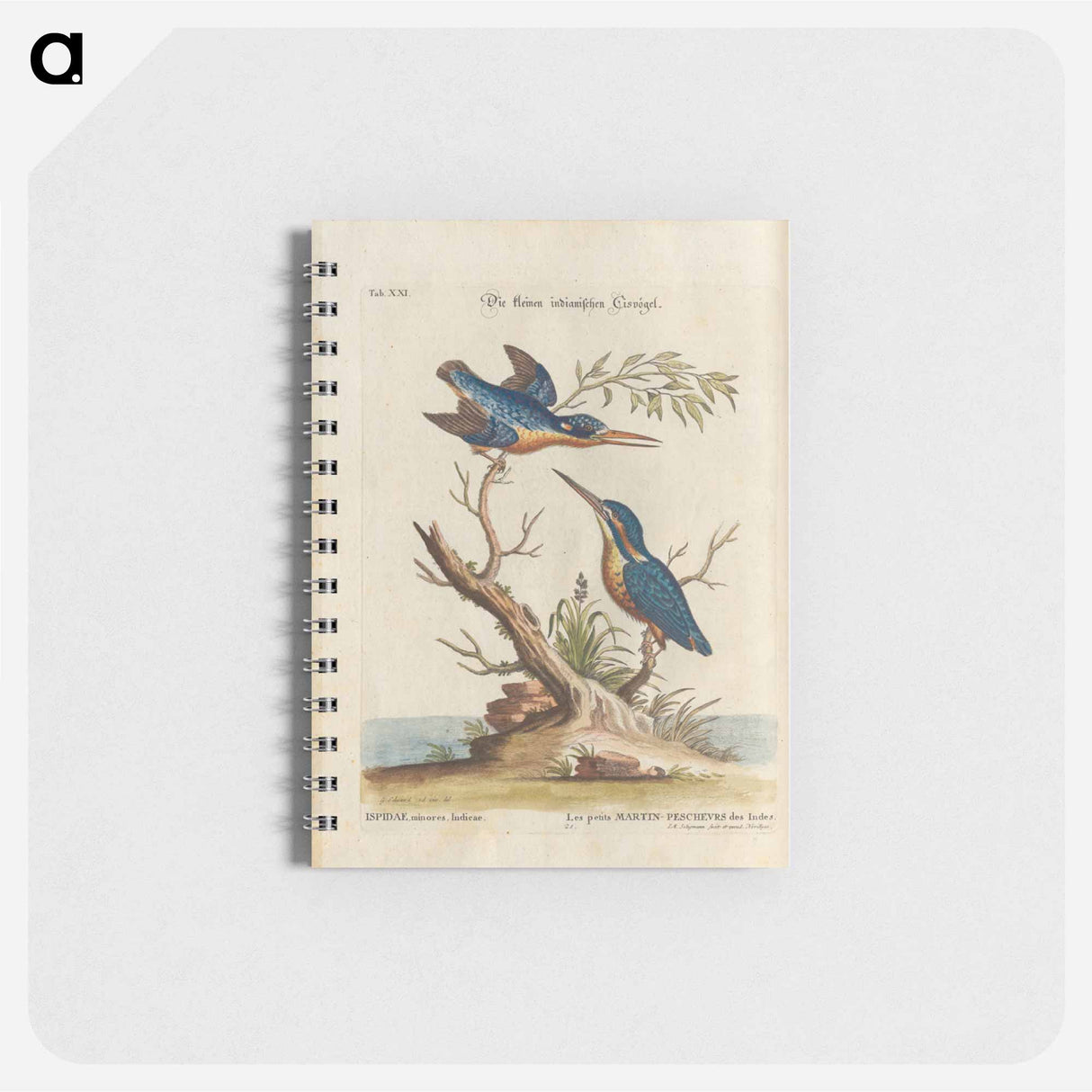 アートメモ帳-Birds illustration - イー ララ Memo.