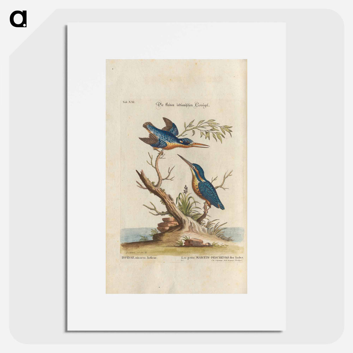 Birds illustration - イー ララ Poster.