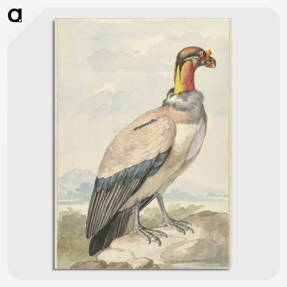 1-60_Aert-Schouman_picture-crop
