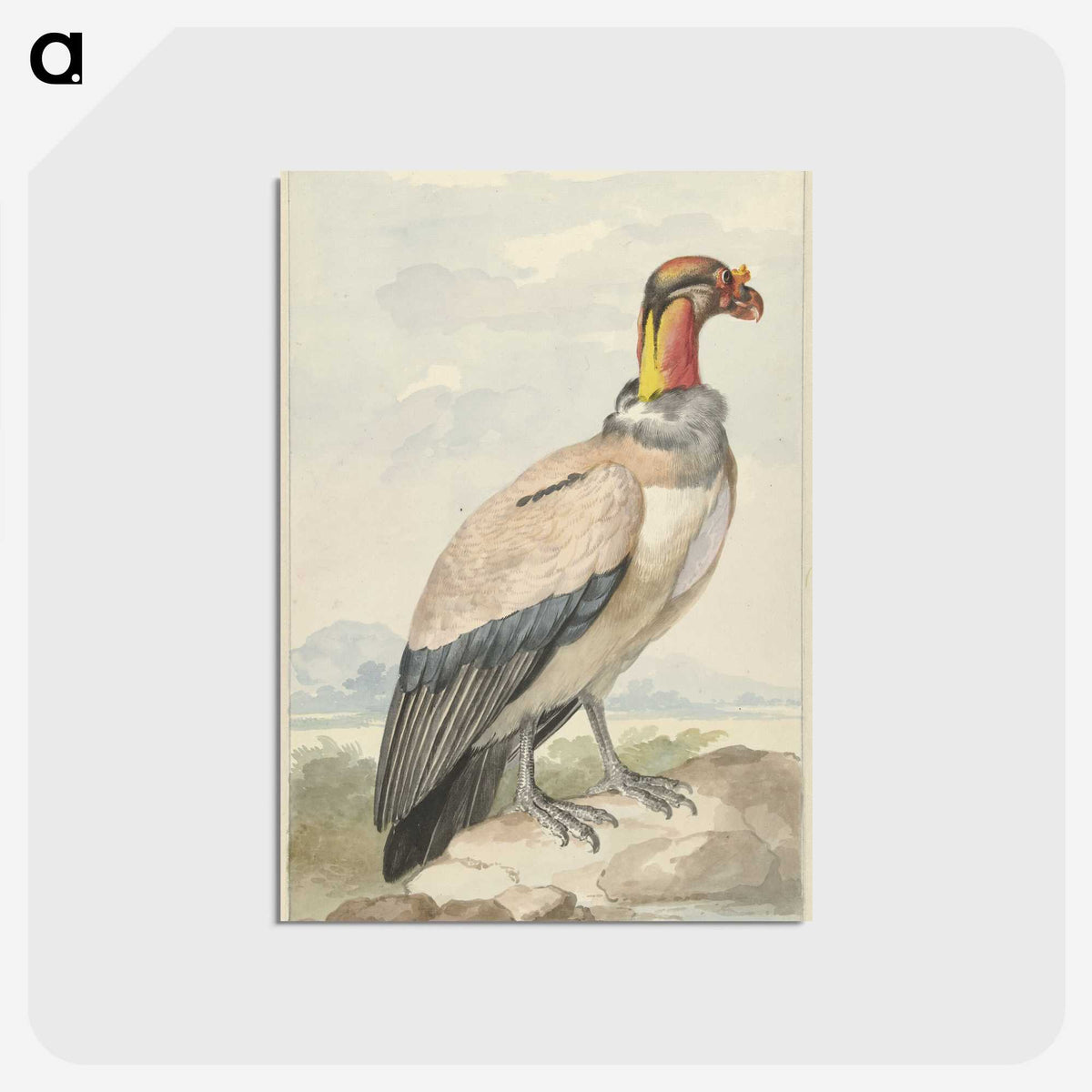 1-60_Aert-Schouman_postcard