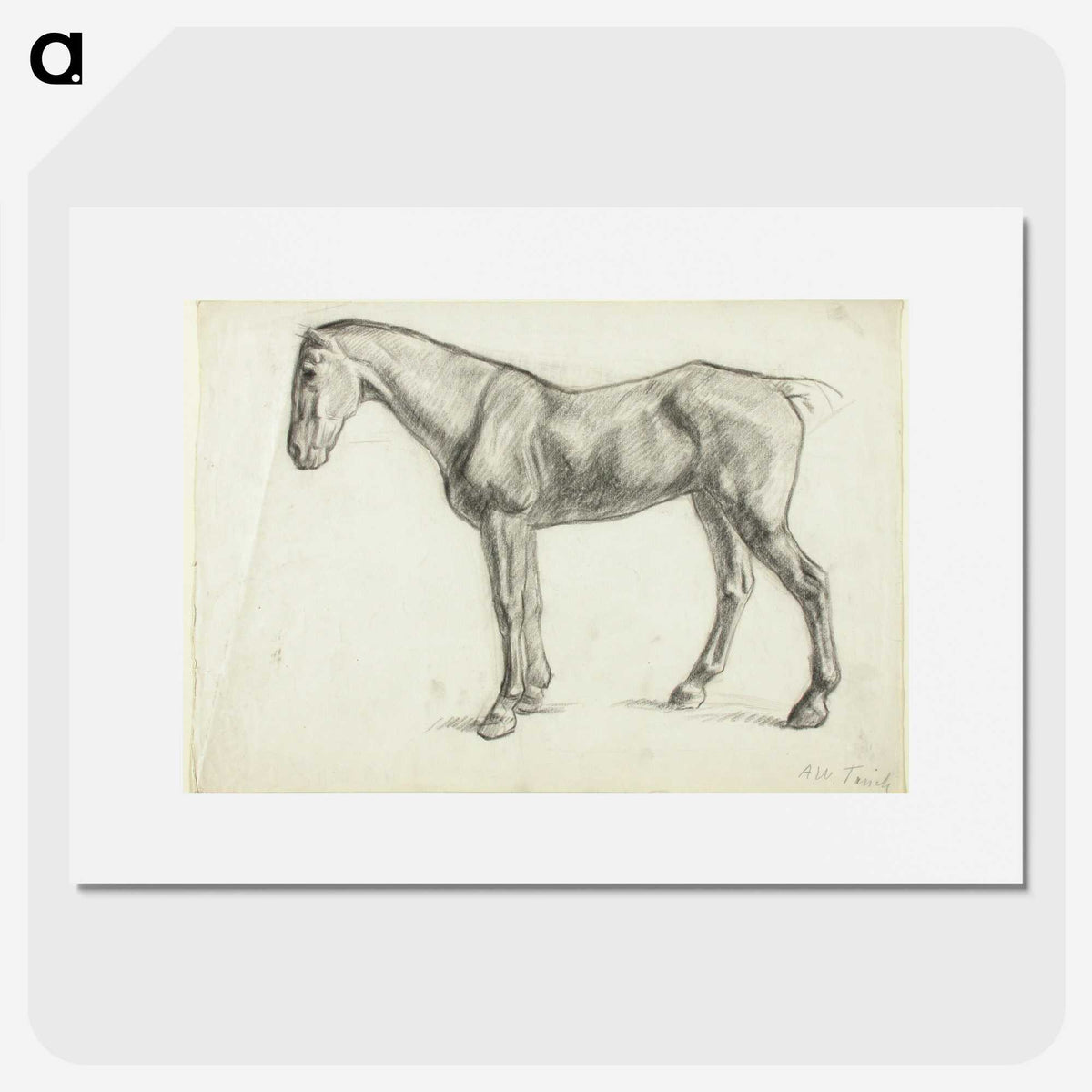 1-60_Alfred-William-Finch_picture