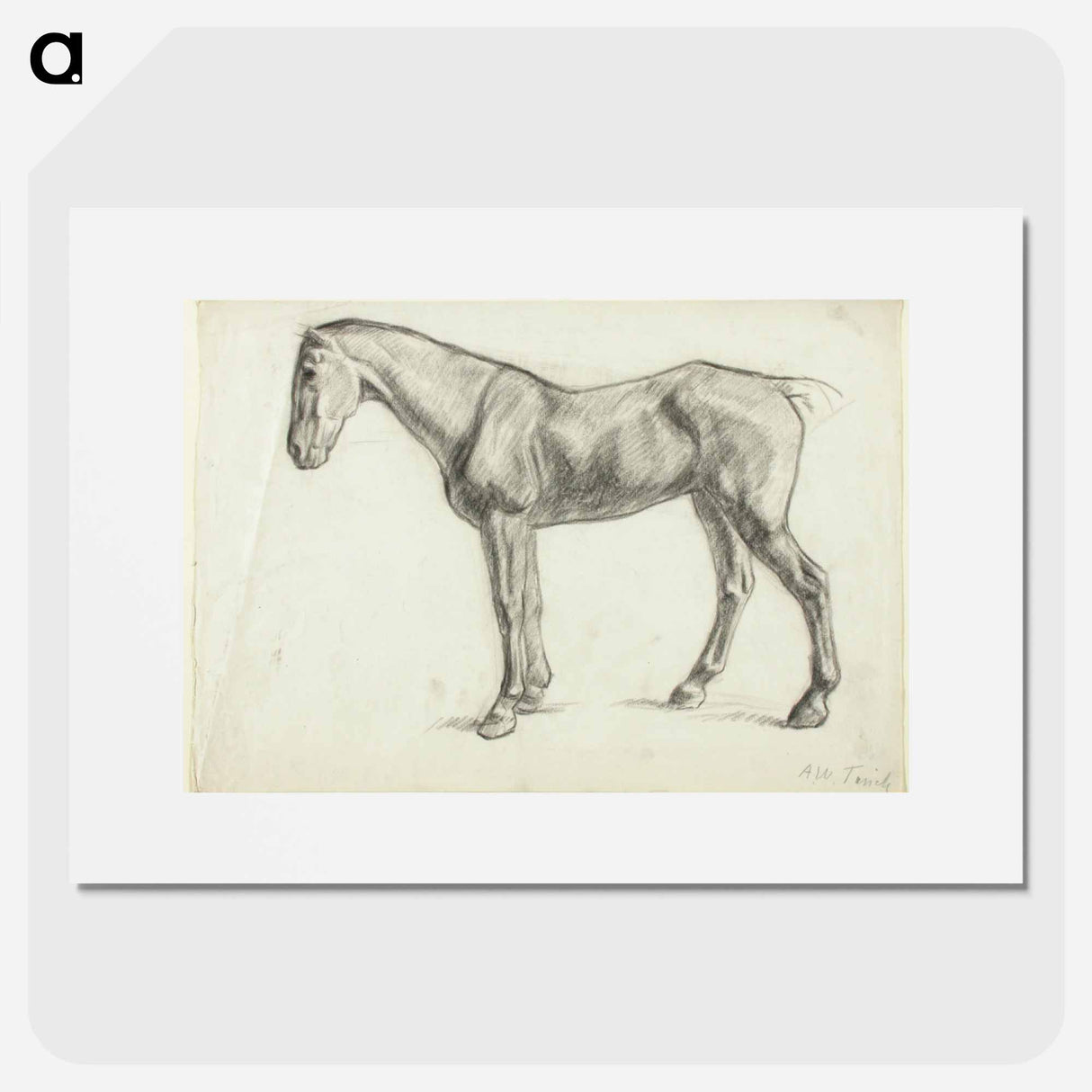 Hevonen - アルフレッド ウィリアム フィンチ Poster.