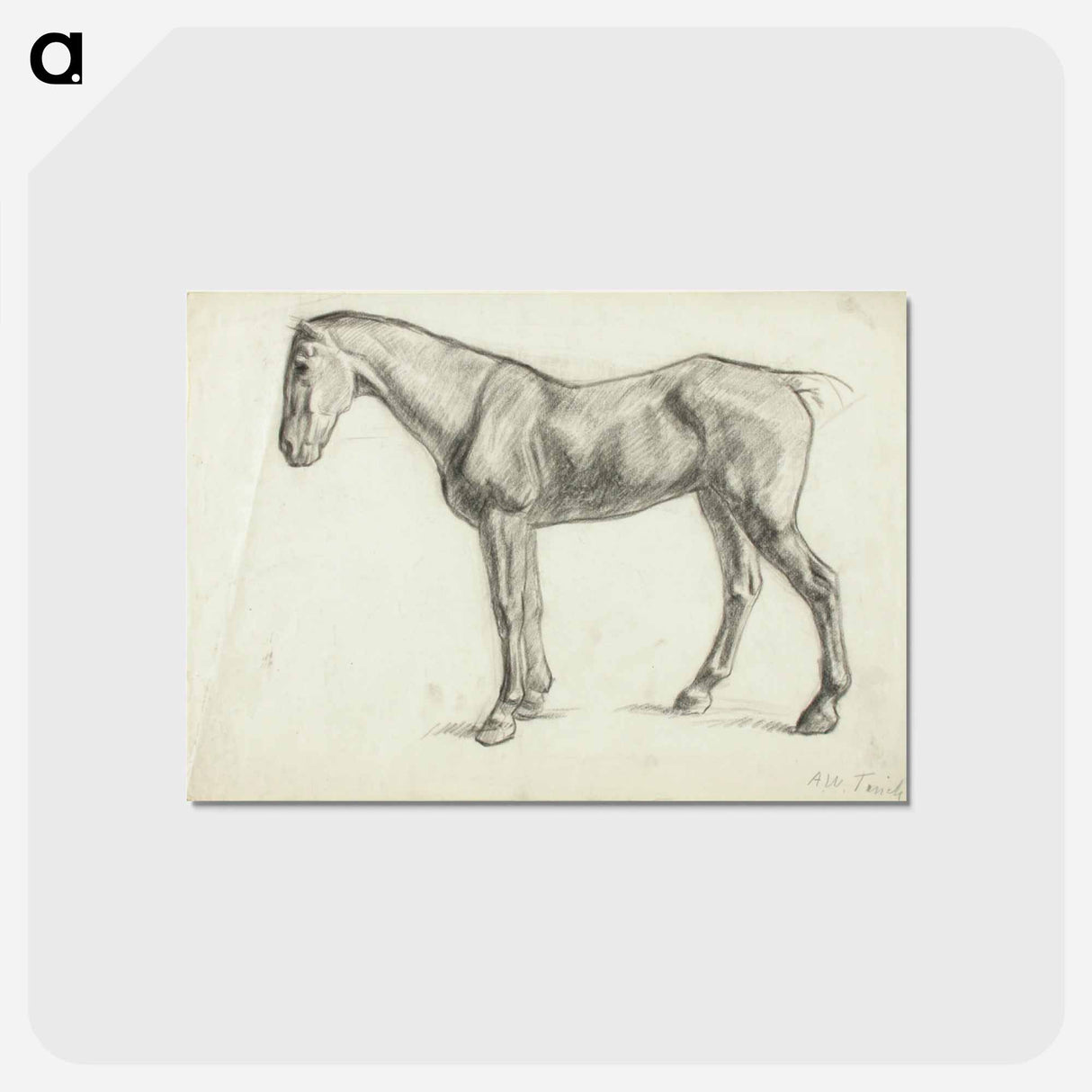 Hevonen - アルフレッド ウィリアム フィンチ Postcard.