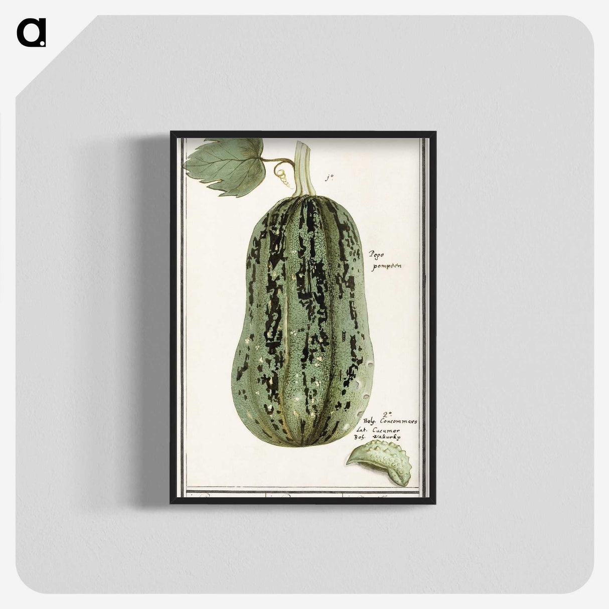 1-60_Anselmus-Boetius-de-Boodt_blk-crop