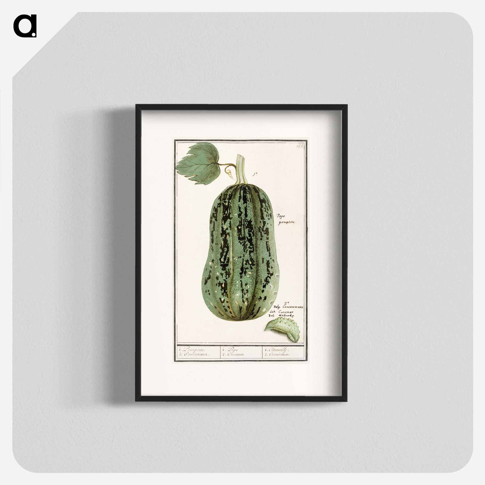 Pumpkin - アンセルムス ボエティウス デ ブート Poster.