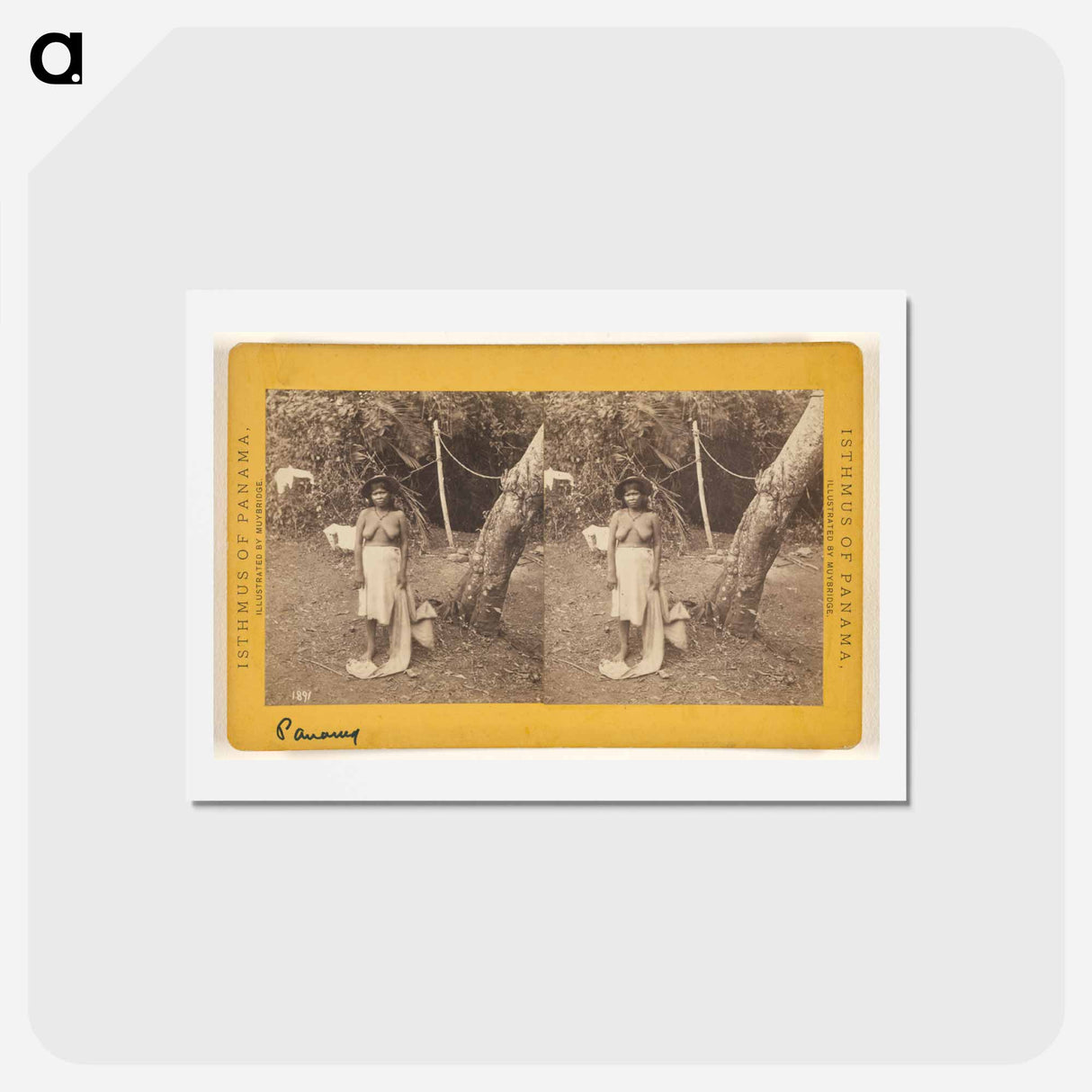 アートポストカード-Panama. Native Women.
- エドワード マイブリッジ Postcard.