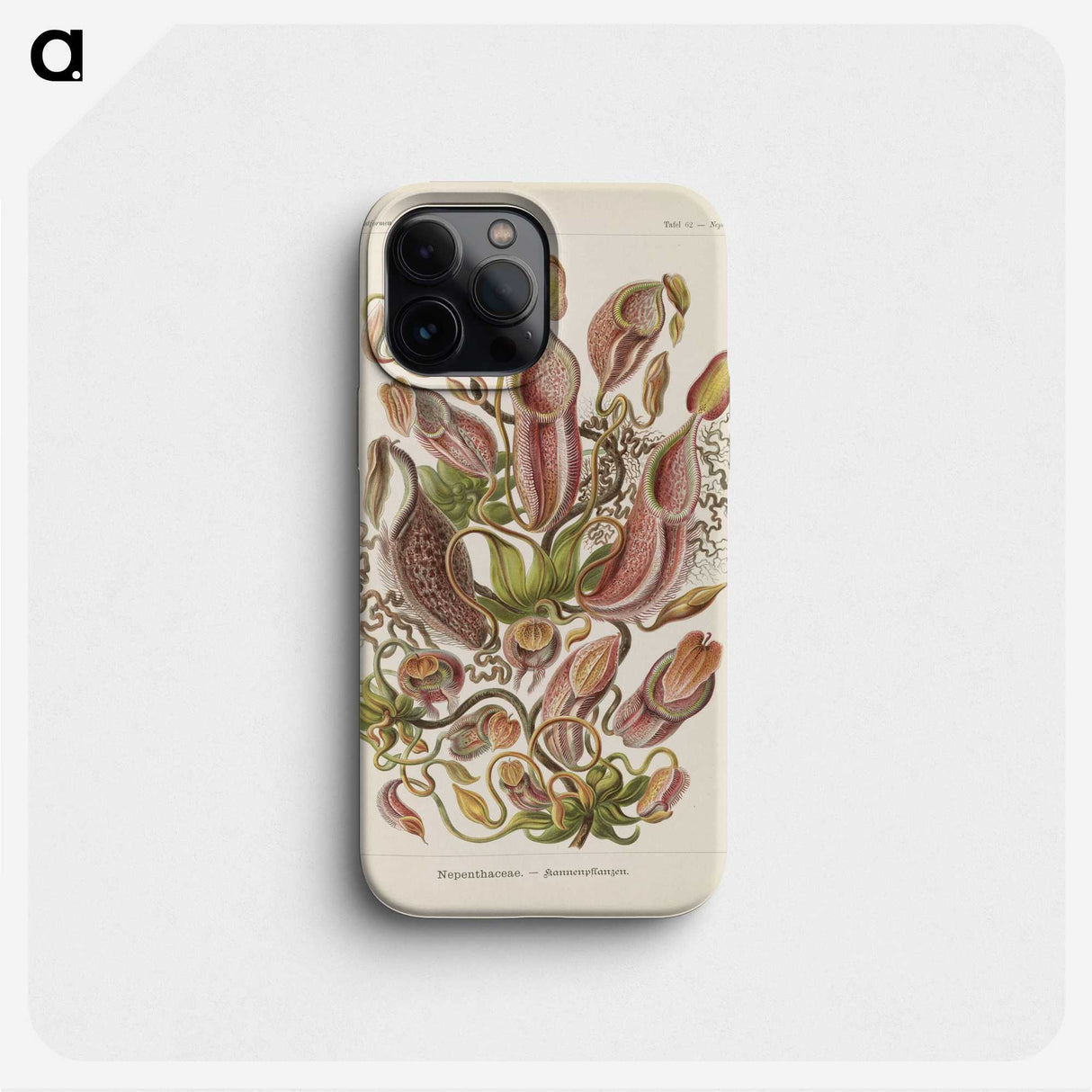 1-60_Ernst-Haeckel_phone