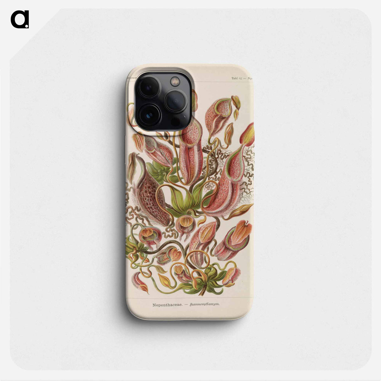 Nepenthaceae–Kannenpflanzen illustration from Kunstformen der Natur - エルンスト ヘッケル Phone Case.