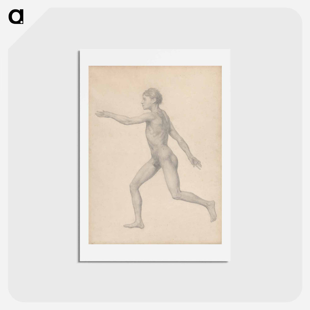 アートポストカード-Human Figure, Lateral View, Undissected
- ジョージ スタッブス Postcard.
