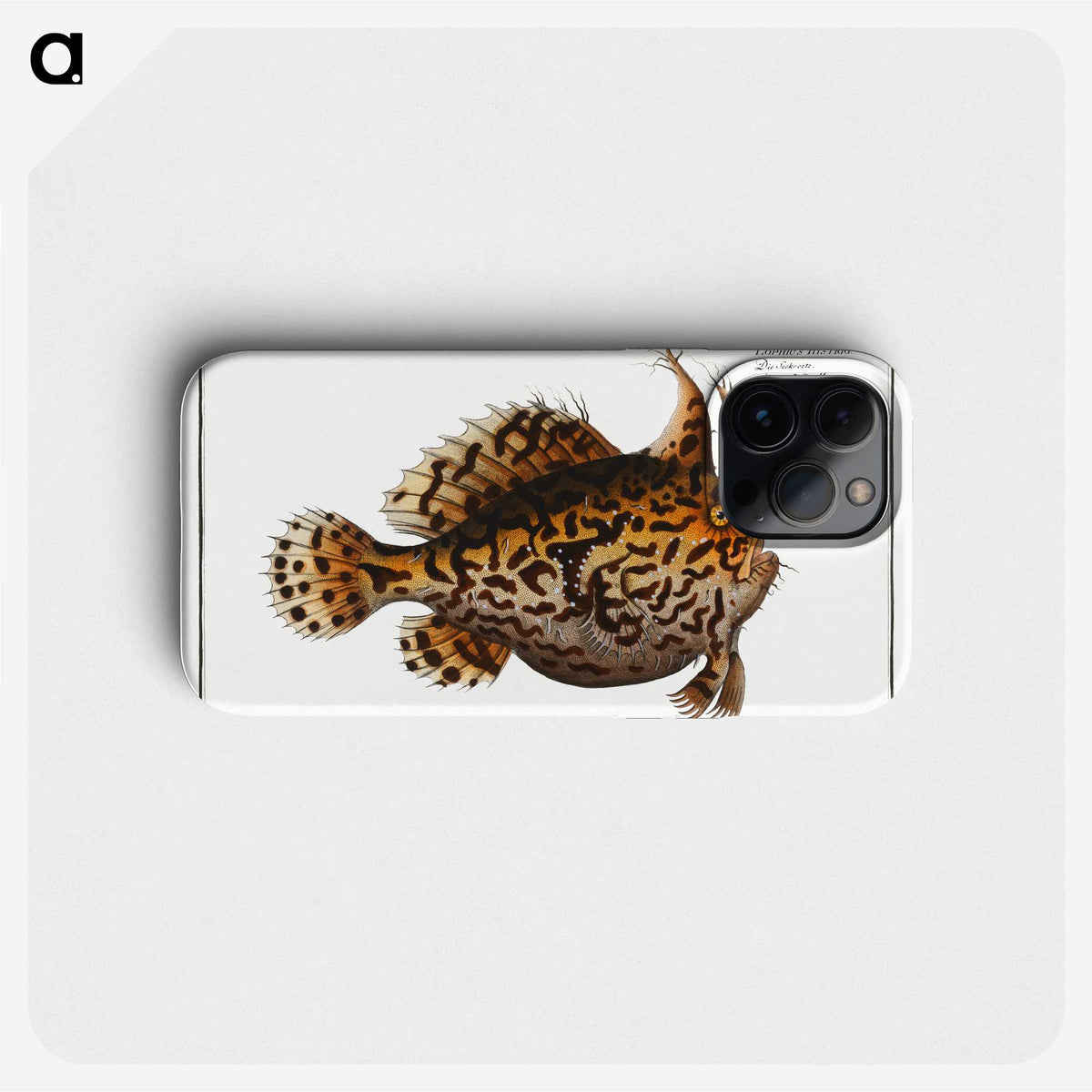1-60_Ichtyologie-ou-Histoire-naturelle_phone