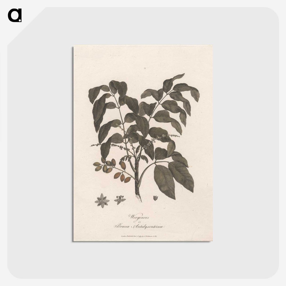1-60_James-Heath_postcard