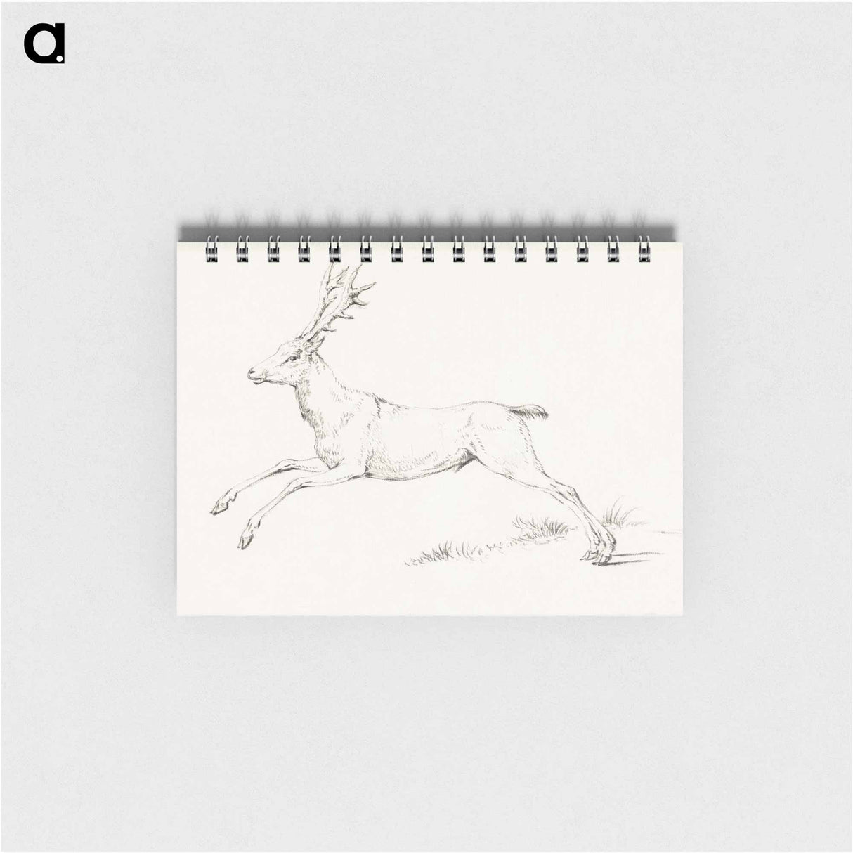 Jumping deer - ジャン ベルナール Memo.