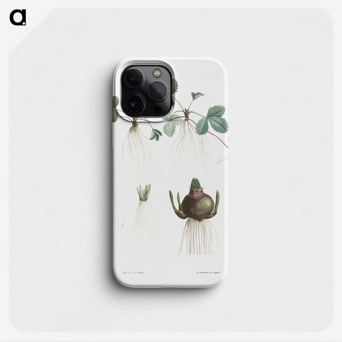 1-60_La-Botanique_phone