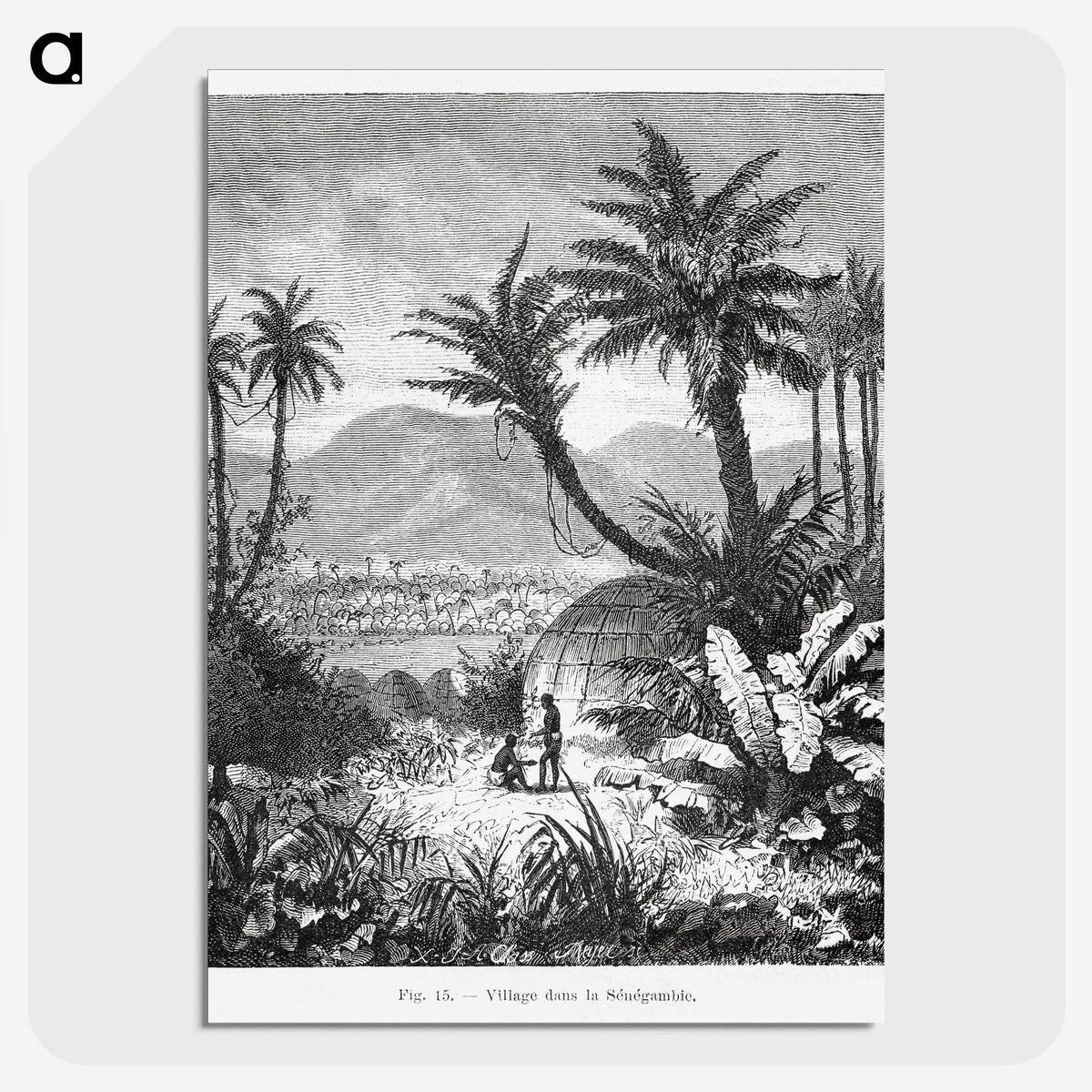 1-60_Les-Palmiers-Histoire-Iconographique_picture-crop