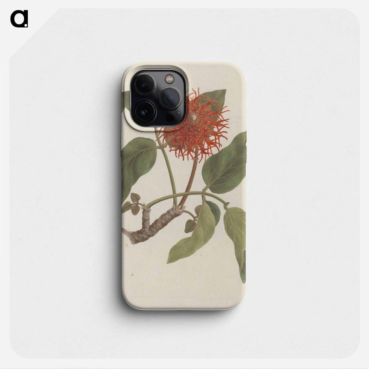 Erythrina abyssinica
- ルイージ バルガーニ Phone Case.
