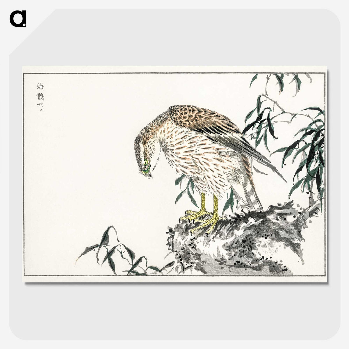 1-60_Pictorial-Monograph-of-Birds_picture-crop
