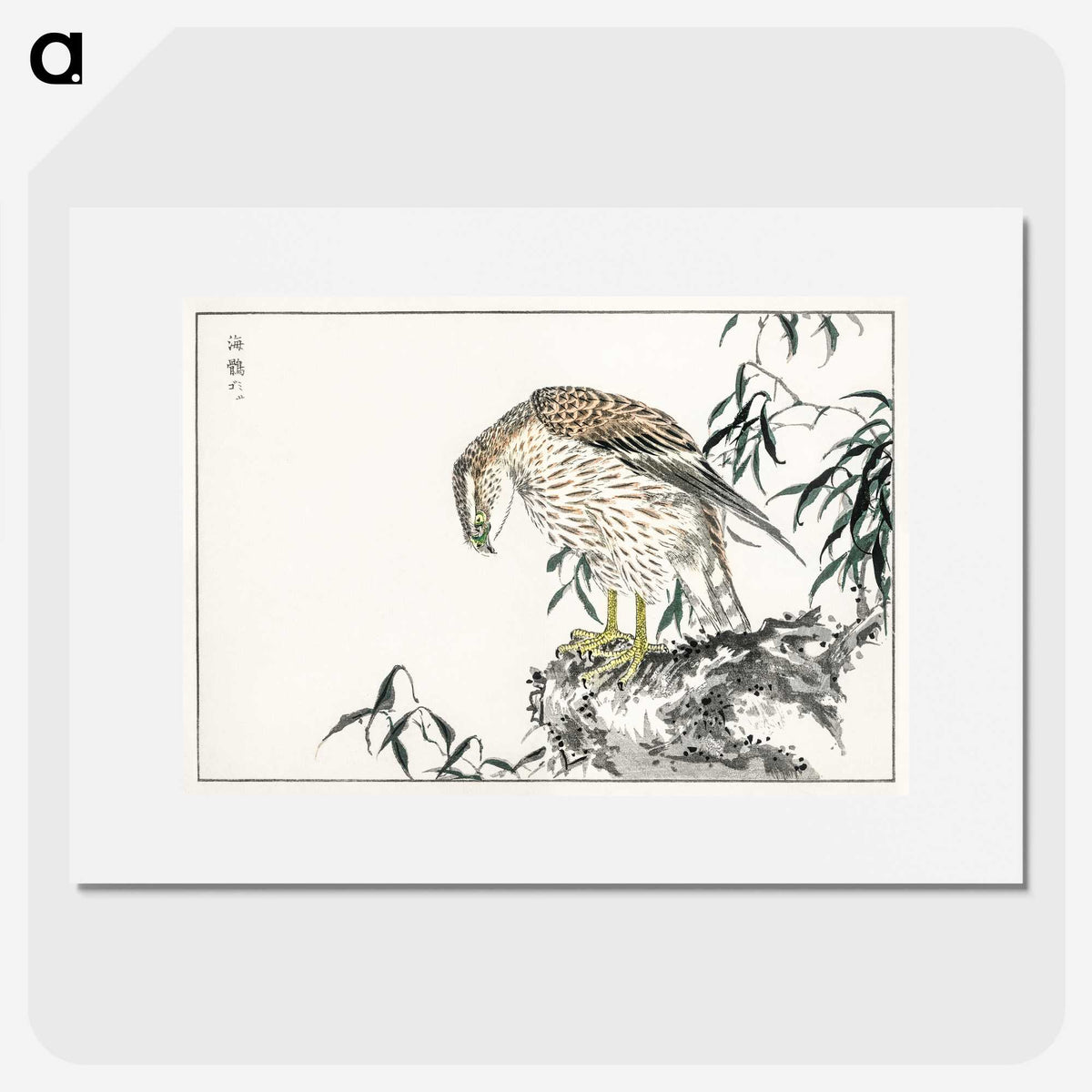 1-60_Pictorial-Monograph-of-Birds_picture