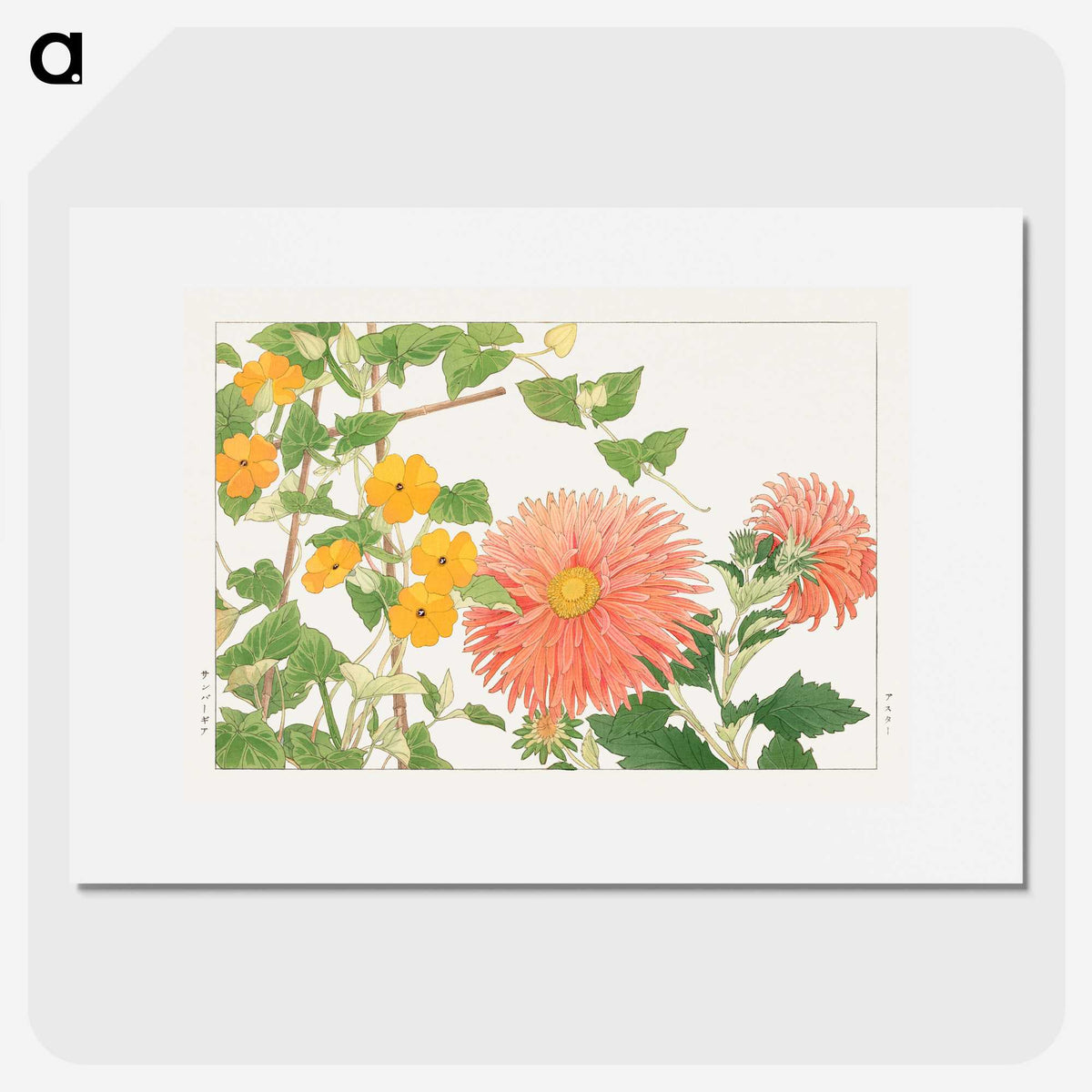 1-60_Seiyo-Soka-Zufu_picture